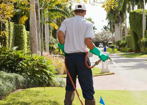 About Greenwood MO Pest Control